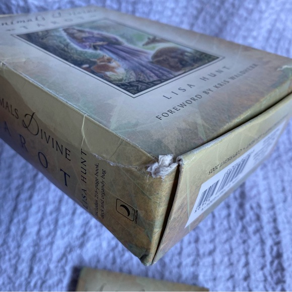 Animals Divine by Lisa Hunt Tarot card box set First Printing / First Edition - Picture 15 of 16